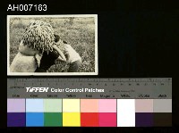 藏品(原住民黑白相片)的圖片